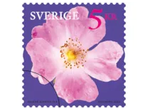 Rullfrimärke med motiv av en nyponros.